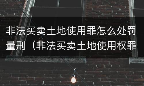 非法买卖土地使用罪怎么处罚量刑（非法买卖土地使用权罪构成要件）