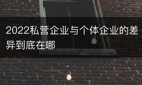 2022私营企业与个体企业的差异到底在哪