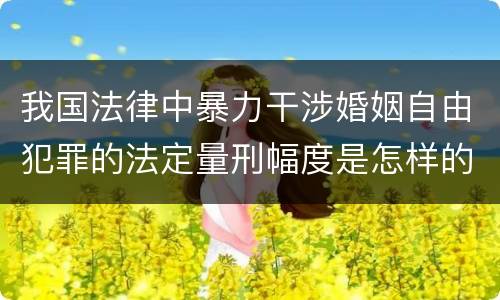 我国法律中暴力干涉婚姻自由犯罪的法定量刑幅度是怎样的