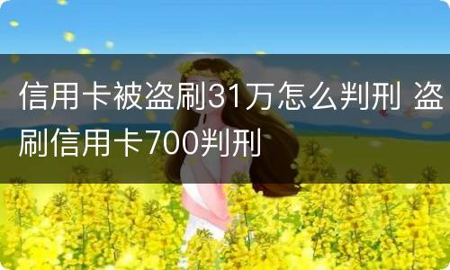 信用卡被盗刷31万怎么判刑 盗刷信用卡700判刑