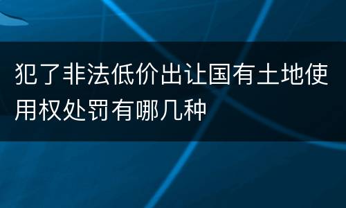 犯了非法低价出让国有土地使用权处罚有哪几种