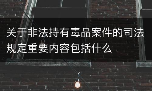 关于非法持有毒品案件的司法规定重要内容包括什么