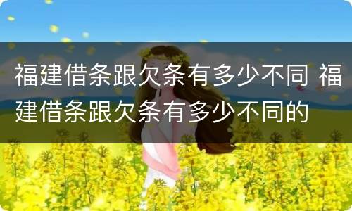 福建借条跟欠条有多少不同 福建借条跟欠条有多少不同的