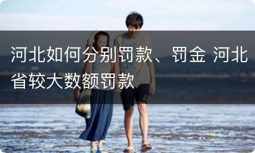 河北如何分别罚款、罚金 河北省较大数额罚款