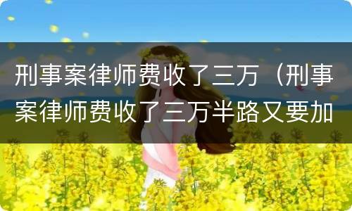 刑事案律师费收了三万（刑事案律师费收了三万半路又要加钱）