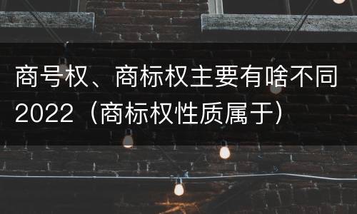 商号权、商标权主要有啥不同2022（商标权性质属于）