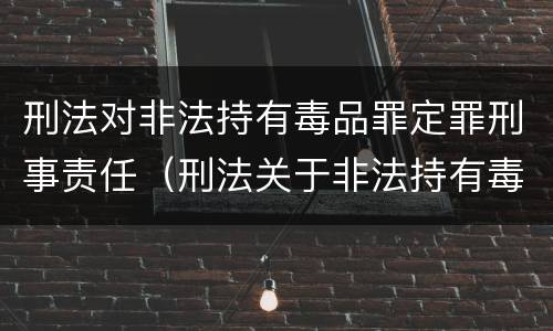 刑法对非法持有毒品罪定罪刑事责任（刑法关于非法持有毒品罪的规定）