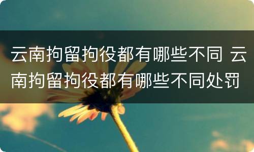 云南拘留拘役都有哪些不同 云南拘留拘役都有哪些不同处罚