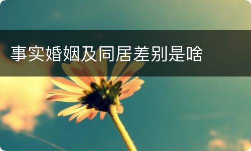事实婚姻及同居差别是啥