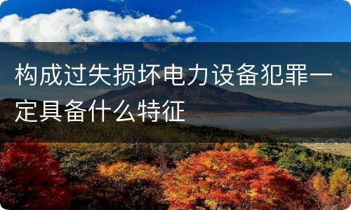 构成过失损坏电力设备犯罪一定具备什么特征