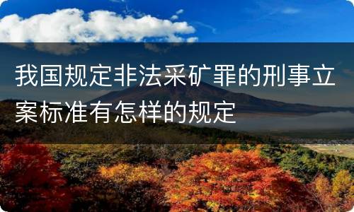 我国规定非法采矿罪的刑事立案标准有怎样的规定