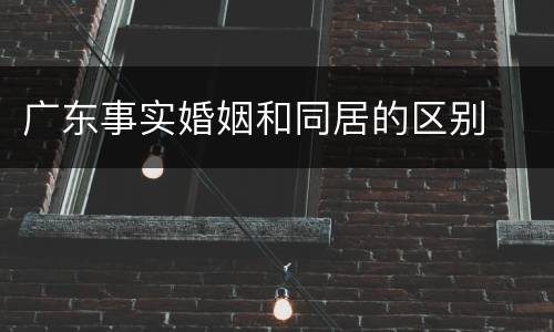 广东事实婚姻和同居的区别