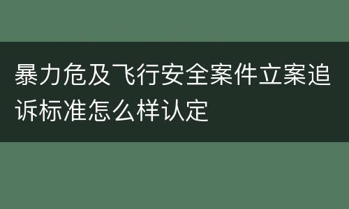 暴力危及飞行安全案件立案追诉标准怎么样认定