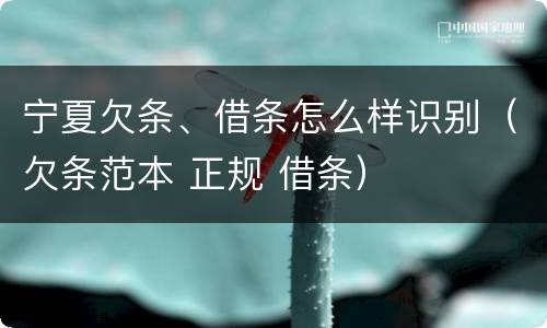 宁夏欠条、借条怎么样识别（欠条范本 正规 借条）