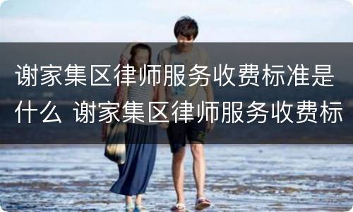 谢家集区律师服务收费标准是什么 谢家集区律师服务收费标准是什么样的