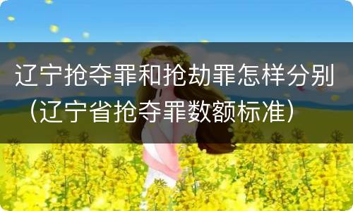 辽宁抢夺罪和抢劫罪怎样分别（辽宁省抢夺罪数额标准）