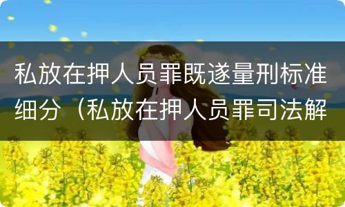 私放在押人员罪既遂量刑标准细分（私放在押人员罪司法解释）