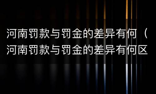 河南罚款与罚金的差异有何（河南罚款与罚金的差异有何区别）