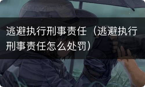 逃避执行刑事责任（逃避执行刑事责任怎么处罚）