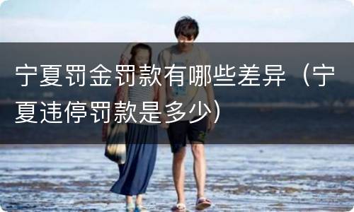宁夏罚金罚款有哪些差异（宁夏违停罚款是多少）