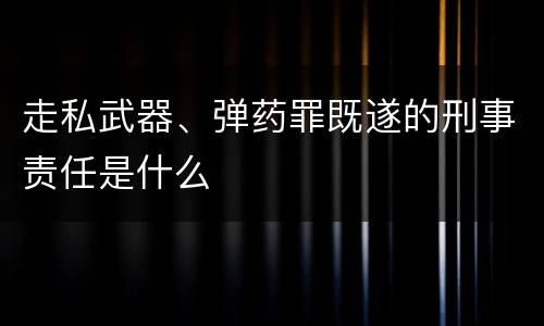 走私武器、弹药罪既遂的刑事责任是什么