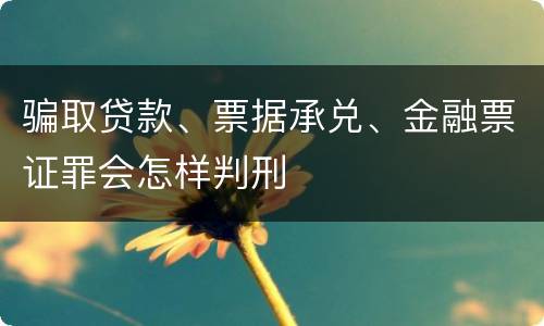 骗取贷款、票据承兑、金融票证罪会怎样判刑