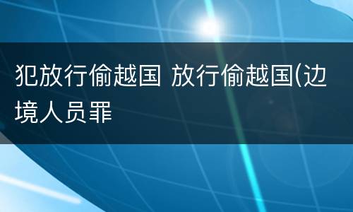 犯放行偷越国 放行偷越国(边境人员罪