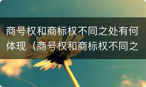 商号权和商标权不同之处有何体现（商号权和商标权不同之处有何体现呢）