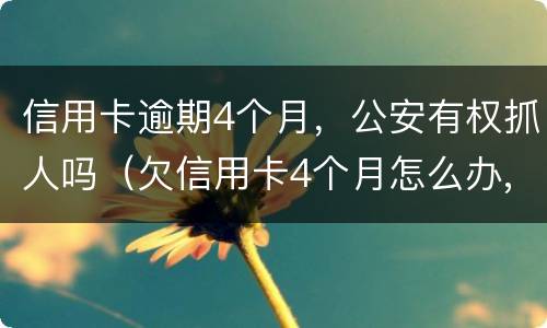 信用卡逾期4个月，公安有权抓人吗（欠信用卡4个月怎么办,会抓人吗?）