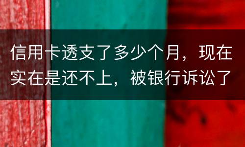 信用卡透支了多少个月，现在实在是还不上，被银行诉讼了要怎样办，谢谢