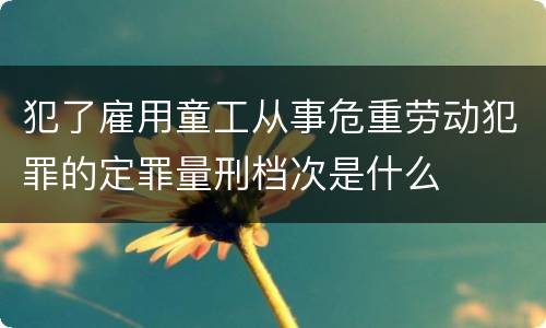 犯了雇用童工从事危重劳动犯罪的定罪量刑档次是什么