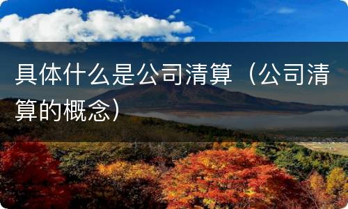 具体什么是公司清算（公司清算的概念）