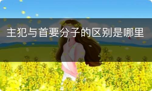 主犯与首要分子的区别是哪里