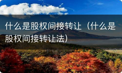 什么是股权间接转让（什么是股权间接转让法）