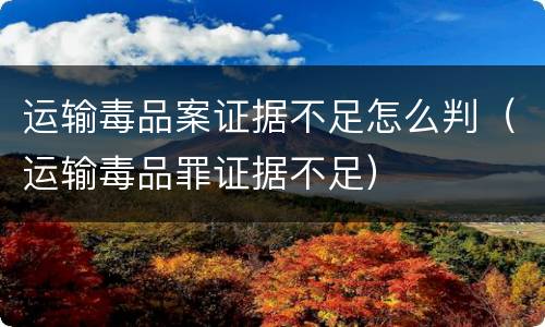 运输毒品案证据不足怎么判（运输毒品罪证据不足）
