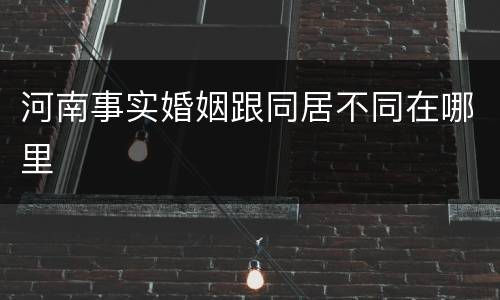 河南事实婚姻跟同居不同在哪里