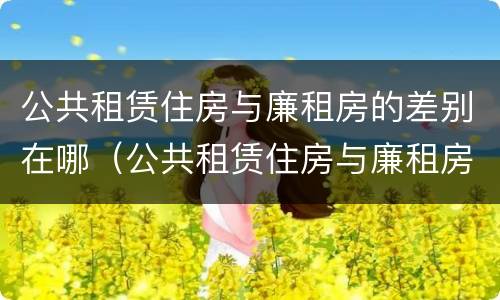 公共租赁住房与廉租房的差别在哪(公共租赁住房与廉租房的差别在哪查)