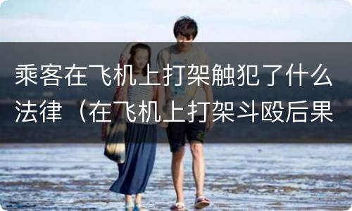 乘客在飞机上打架触犯了什么法律（在飞机上打架斗殴后果如何）