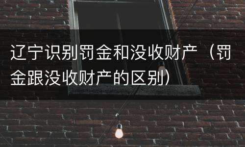 辽宁识别罚金和没收财产（罚金跟没收财产的区别）