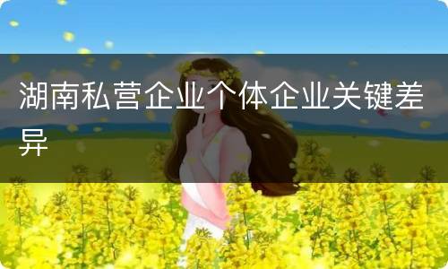 湖南私营企业个体企业关键差异