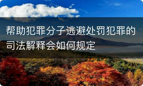 帮助犯罪分子逃避处罚犯罪的司法解释会如何规定