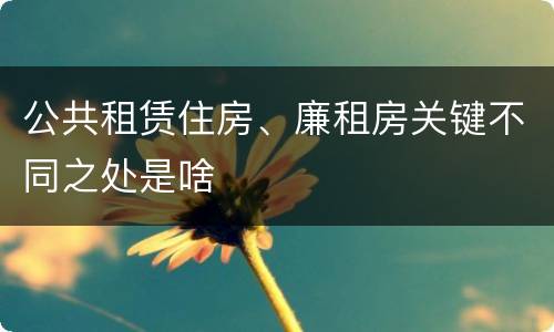 公共租赁住房、廉租房关键不同之处是啥