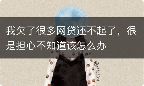 我欠了很多网贷还不起了，很是担心不知道该怎么办