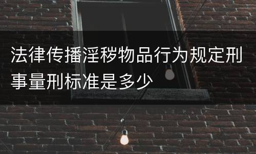 法律传播淫秽物品行为规定刑事量刑标准是多少