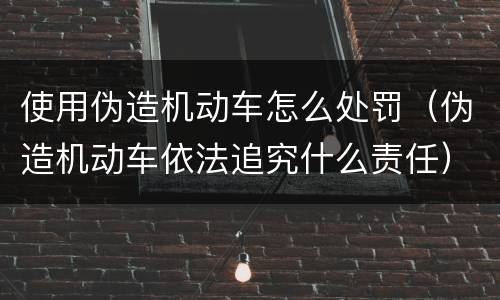 使用伪造机动车怎么处罚（伪造机动车依法追究什么责任）