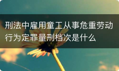 刑法中雇用童工从事危重劳动行为定罪量刑档次是什么