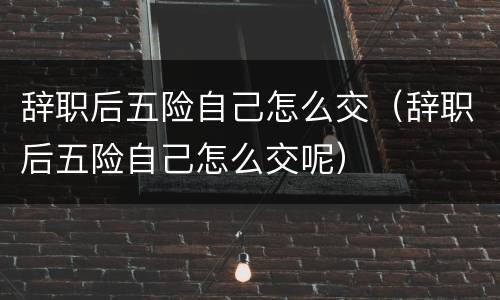 辞职后五险自己怎么交（辞职后五险自己怎么交呢）
