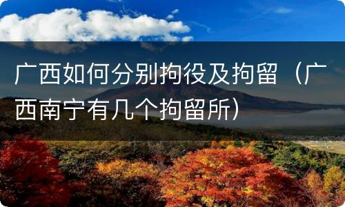 广西如何分别拘役及拘留（广西南宁有几个拘留所）