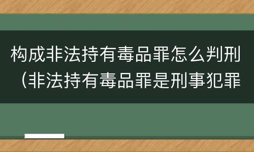 构成非法持有毒品罪怎么判刑（非法持有毒品罪是刑事犯罪吗）
