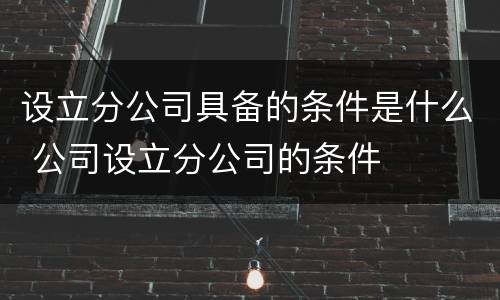 设立分公司具备的条件是什么 公司设立分公司的条件